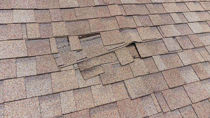 damaged roof shingles seen while preforming home inspection services 